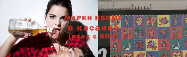 хмурый Алзамай