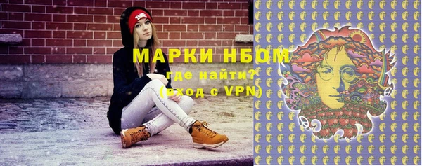 хмурый Алзамай