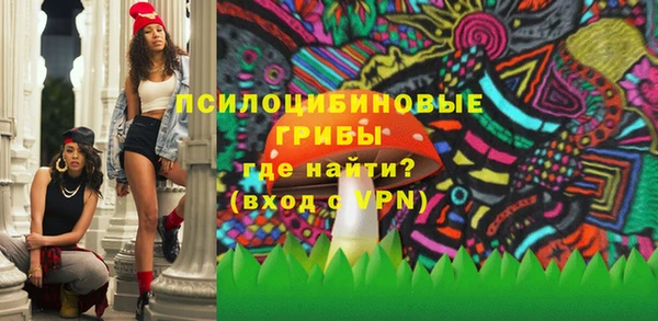 тгк Вяземский