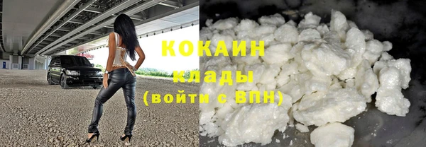 хмурый Алзамай